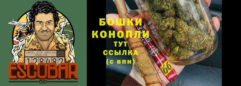 МАРИХУАНА конопля  магазин    Белая Холуница 